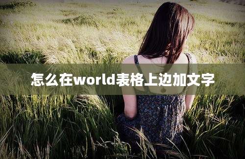 怎么在world表格上边加文字