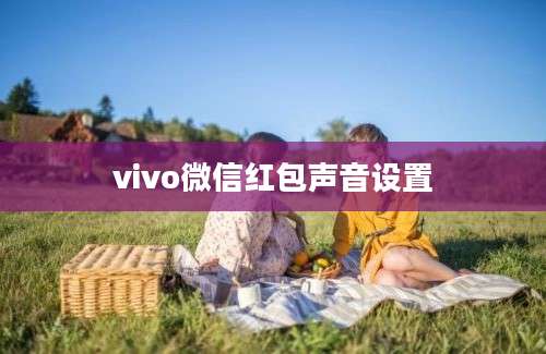 vivo微信红包声音设置