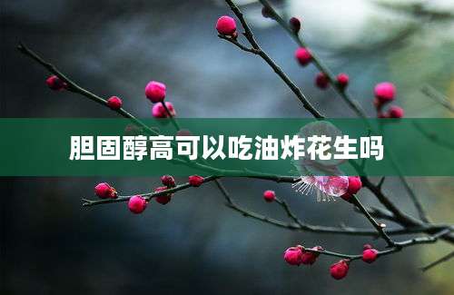 胆固醇高可以吃油炸花生吗