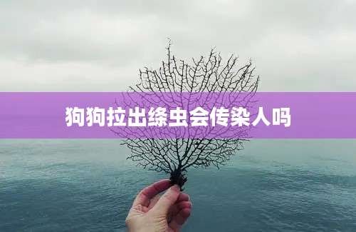 狗狗拉出绦虫会传染人吗