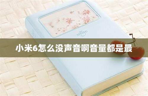 小米6怎么没声音啊音量都是最