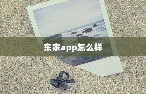 东家app怎么样