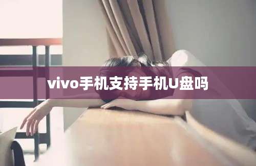 vivo手机支持手机U盘吗