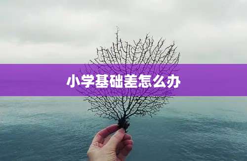 小学基础差怎么办