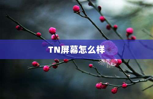 TN屏幕怎么样