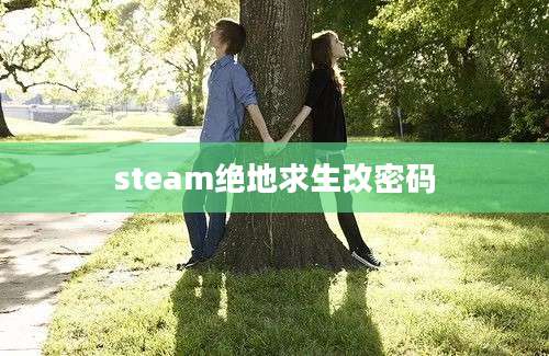 steam绝地求生改密码