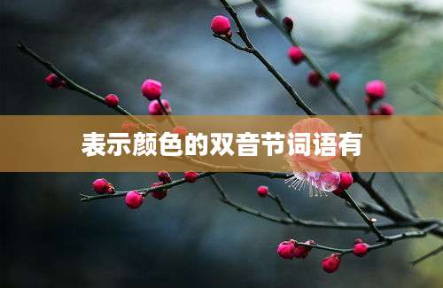 表示颜色的双音节词语有