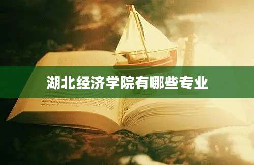 湖北经济学院有哪些专业