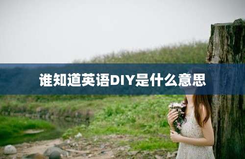 谁知道英语DIY是什么意思