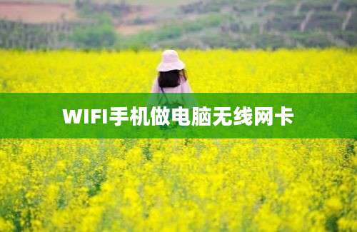 WIFI手机做电脑无线网卡