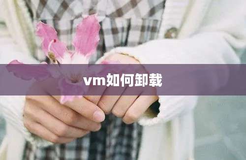 vm如何卸载