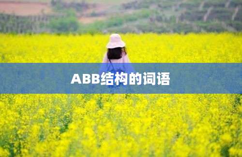 ABB结构的词语