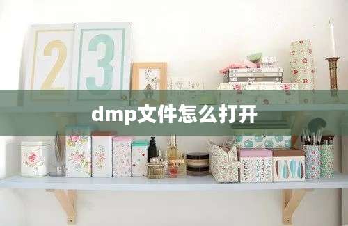 dmp文件怎么打开