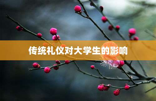 传统礼仪对大学生的影响