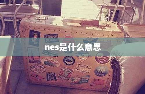 nes是什么意思