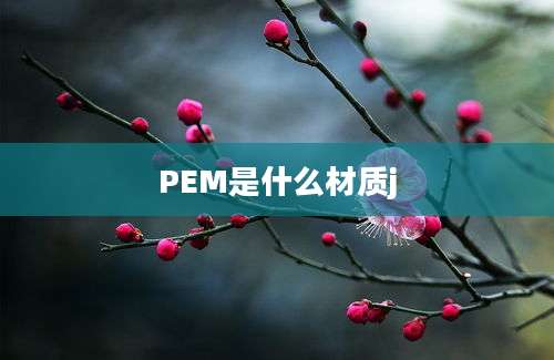 PEM是什么材质j