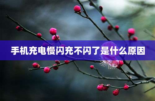 手机充电慢闪充不闪了是什么原因