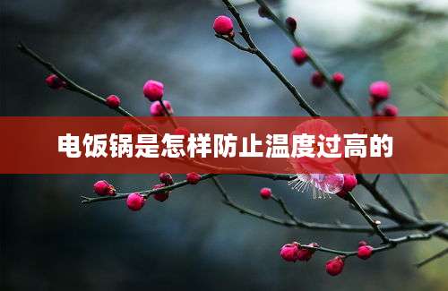 电饭锅是怎样防止温度过高的