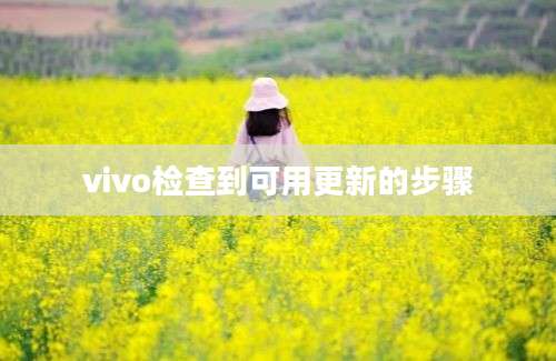 vivo检查到可用更新的步骤