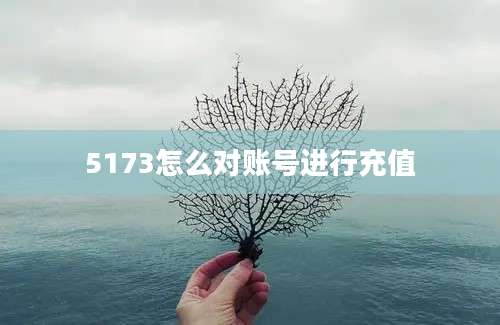 5173怎么对账号进行充值