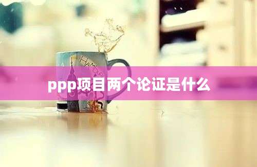 ppp项目两个论证是什么