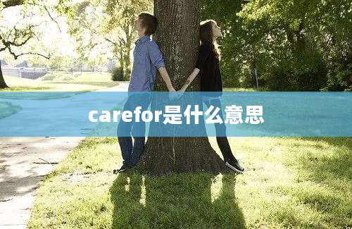 carefor是什么意思