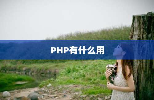 PHP有什么用