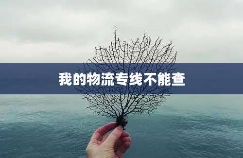 我的物流专线不能查