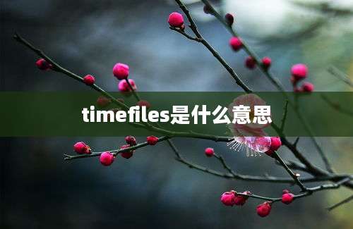 timefiles是什么意思