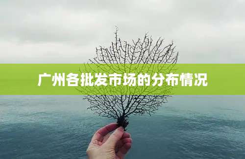 广州各批发市场的分布情况