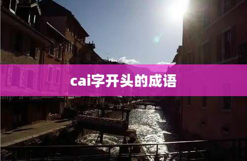 cai字开头的成语