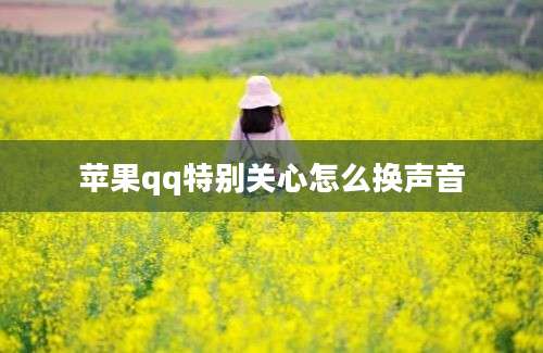 苹果qq特别关心怎么换声音