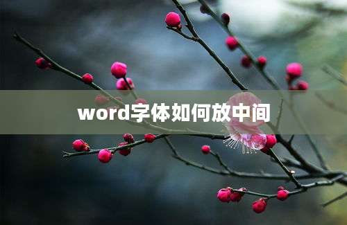 word字体如何放中间