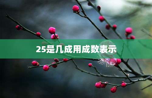 25是几成用成数表示