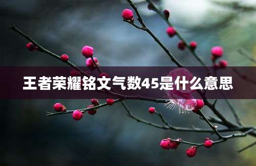 王者荣耀铭文气数45是什么意思