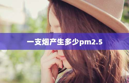 一支烟产生多少pm2.5