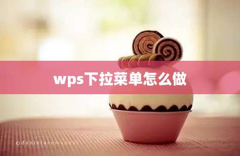 wps下拉菜单怎么做