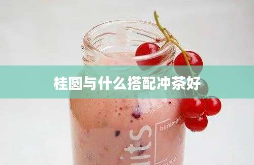 桂圆与什么搭配冲茶好