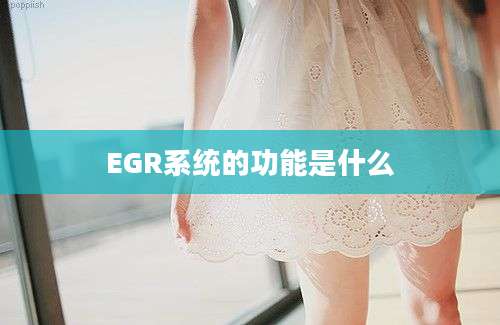 EGR系统的功能是什么