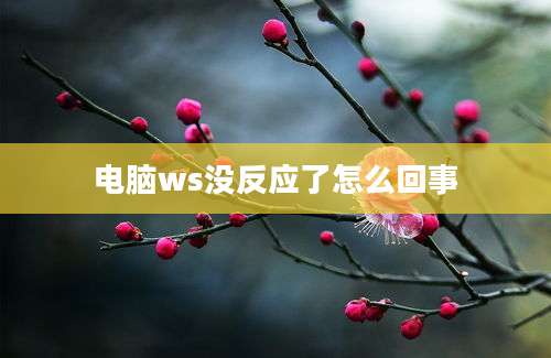 电脑ws没反应了怎么回事