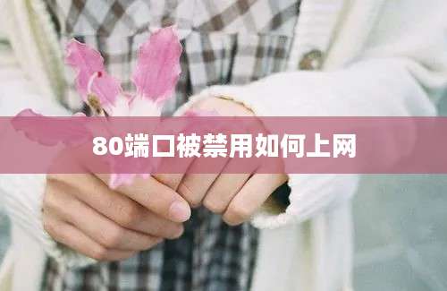 80端口被禁用如何上网