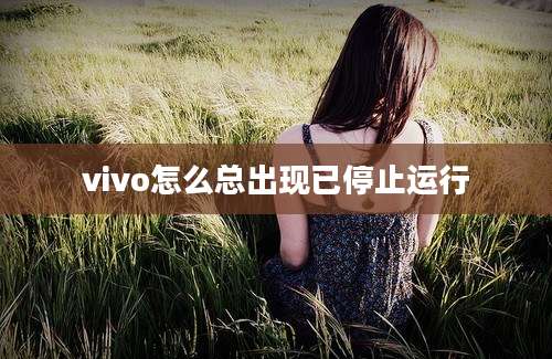 vivo怎么总出现已停止运行