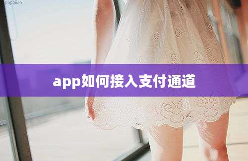 app如何接入支付通道