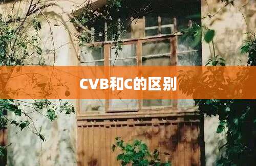 CVB和C的区别