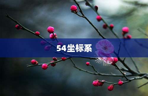 54坐标系