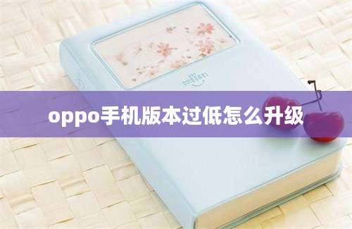 oppo手机版本过低怎么升级