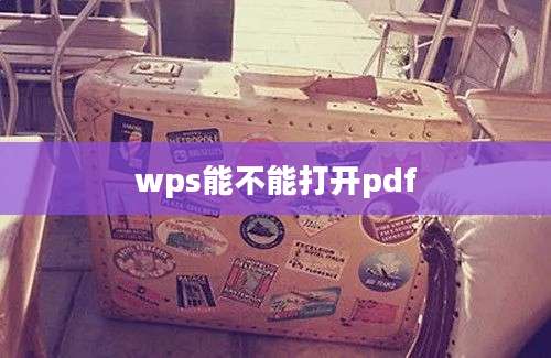 wps能不能打开pdf