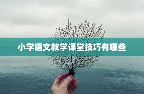 小学语文教学课堂技巧有哪些