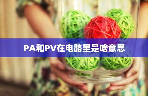 PA和PV在电路里是啥意思