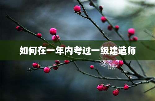 如何在一年内考过一级建造师